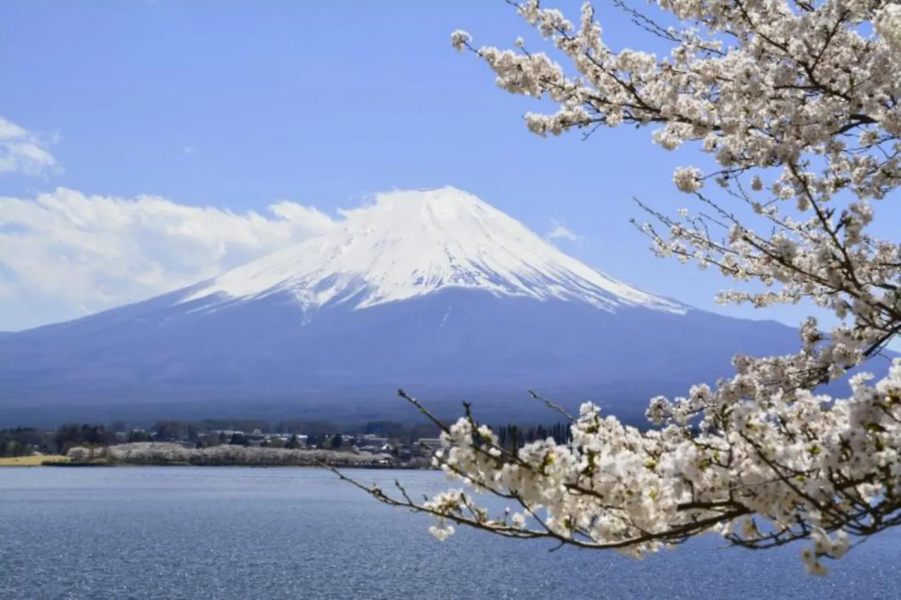 Apartamento Laffitte Tokio